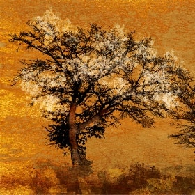 Photoshop brush - 彫刻 Essentials