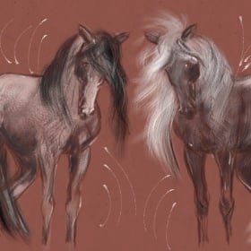 Photoshop brush - レーキ Essentials