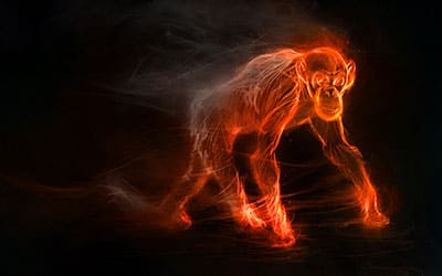 Combustion