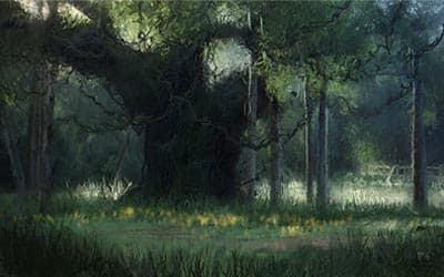 Nature