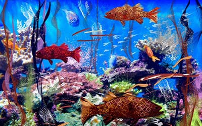 Coral reef