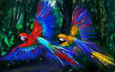 Feather