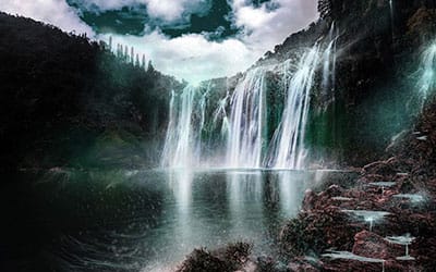 Fluid