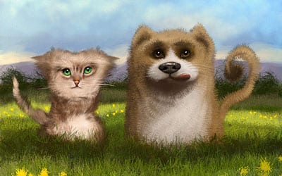 Perfect pets