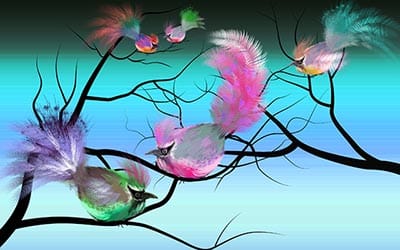 Birds of a feather