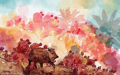 Watercolor stains