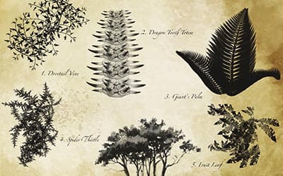 Fantasy foliage