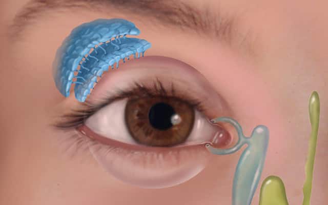 Painted With Corel Painter by Pat Thomas