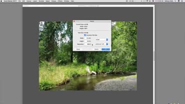 Reference image & canvas