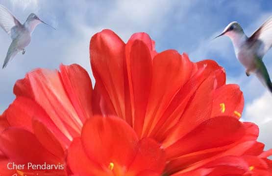 Cloning Capabilities