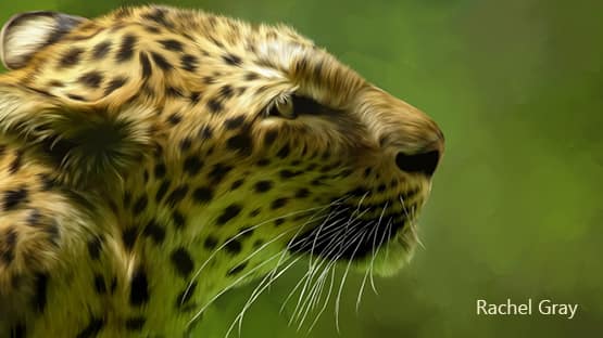 Corel Discovery Center