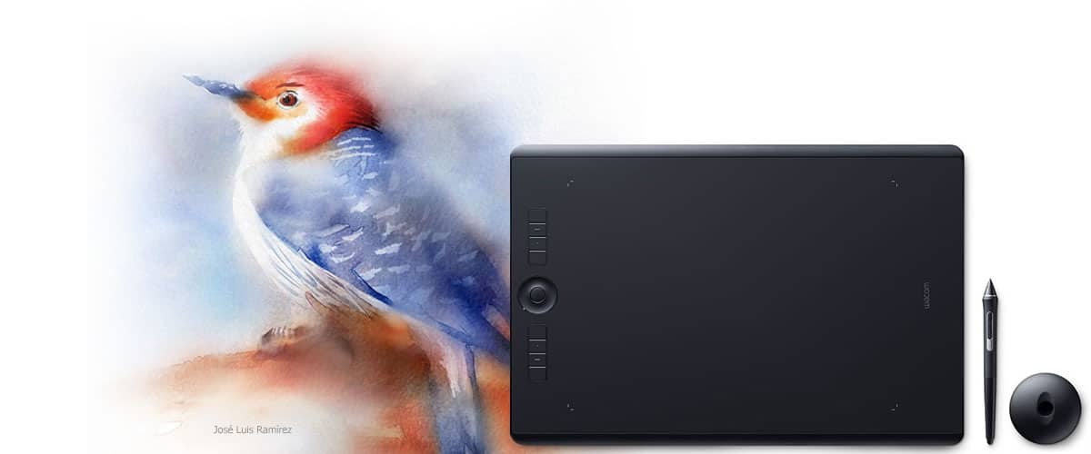 corel painter essentials 6 download corel painter essentials 6 download
