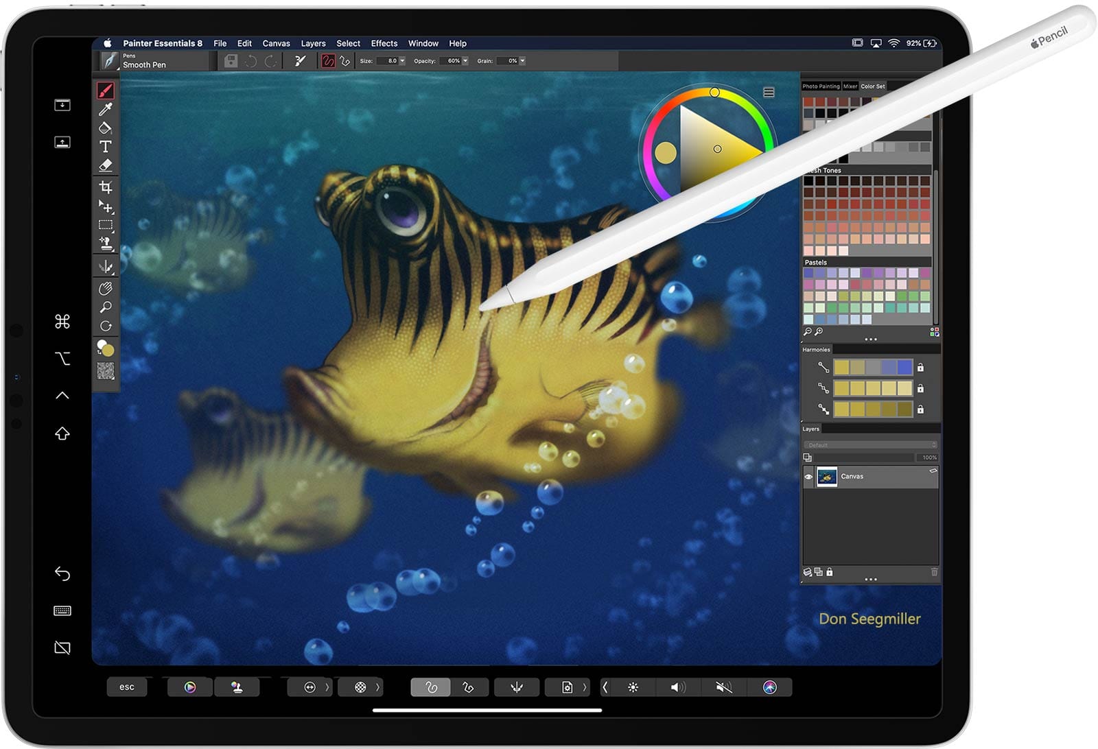 corel painter essentials 5 ram